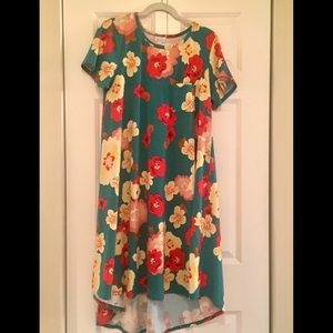 LulaRoe Floral Carly dress - size M