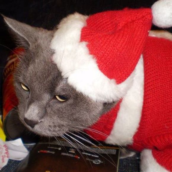 Meet your Posher, Erik - Picture 1 of 1