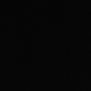 Meet your Posher, Bridgette