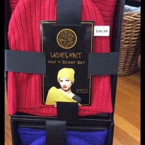 NWT hat and scarf set in a gift 🎁 box.