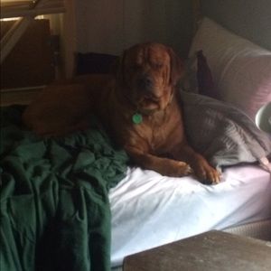 Meet your Posher, Tonya