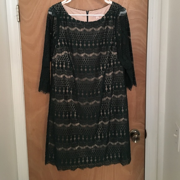 Dress Barn Dresses & Skirts - Green Eyelash Lace Dress