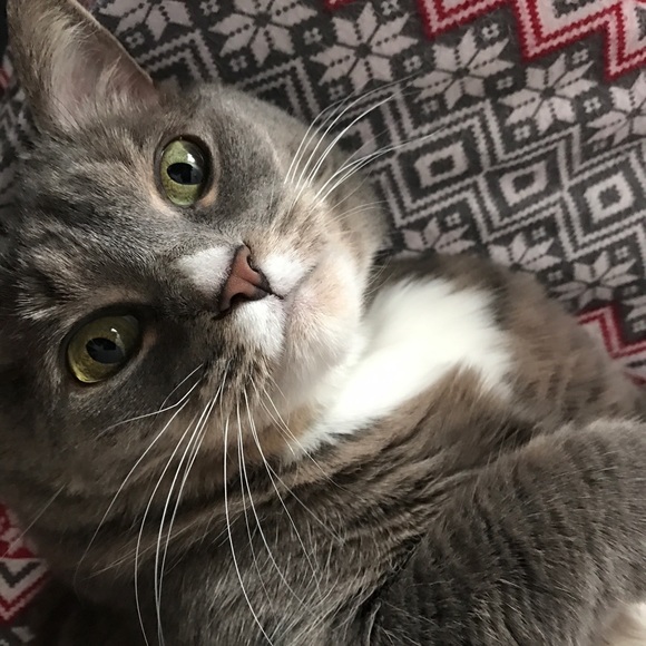 Meet your Posher, Melissa - Picture 1 of 1