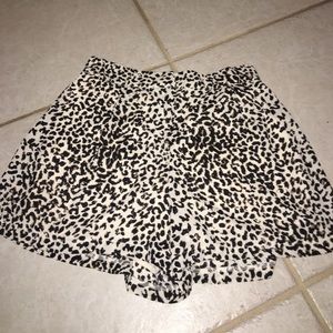High Wasted Leopard Print Shorts