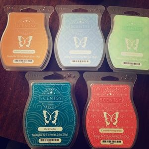 Scentsy scent bars