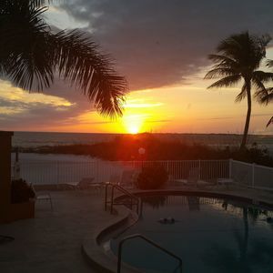 Meet your Posher, Lynne