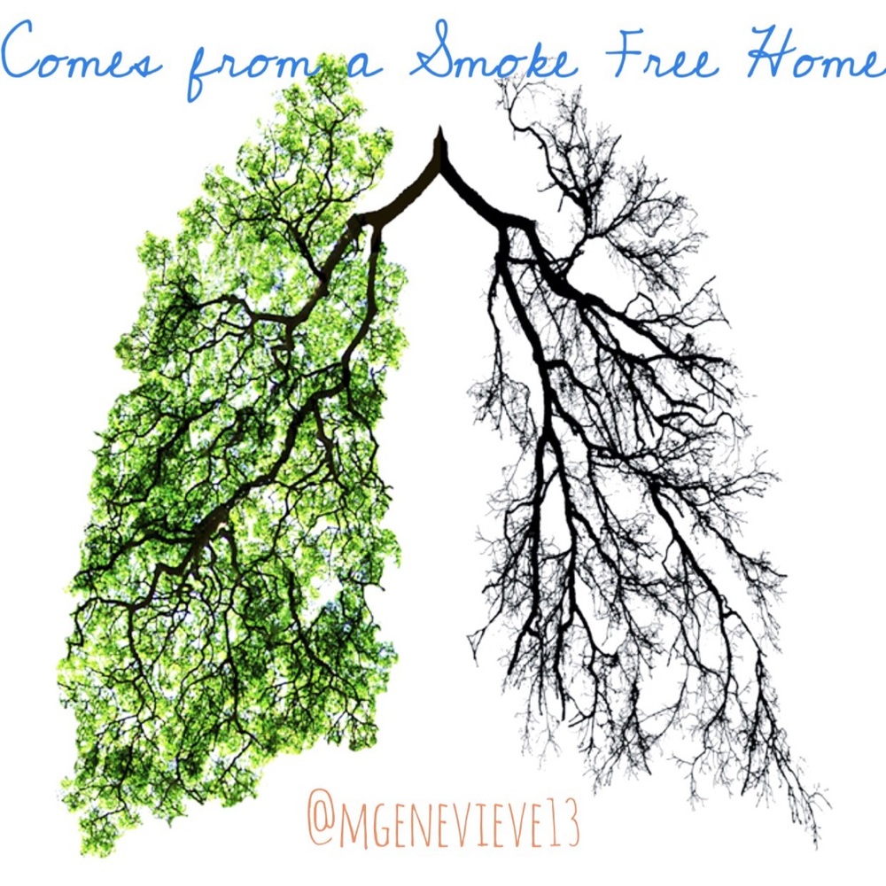 All items smoke free and pet free