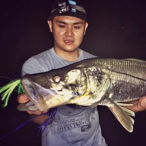 Meet your Posher, Thien