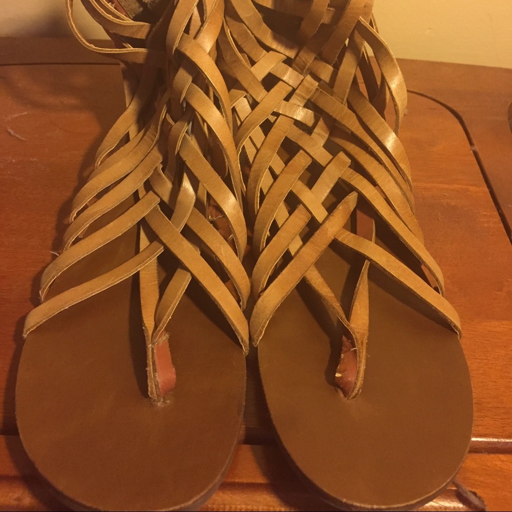 Steve Madden gladiator sandals