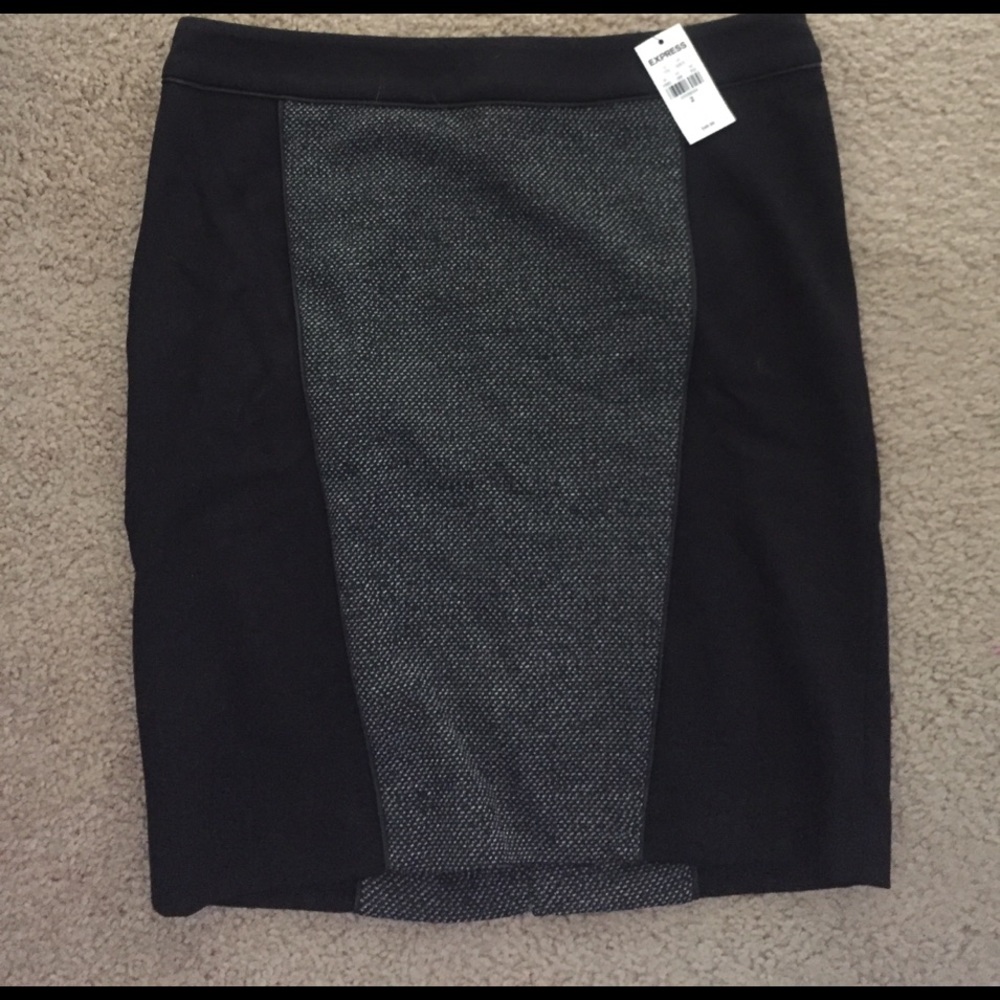 BRAND NEW Express Skirt