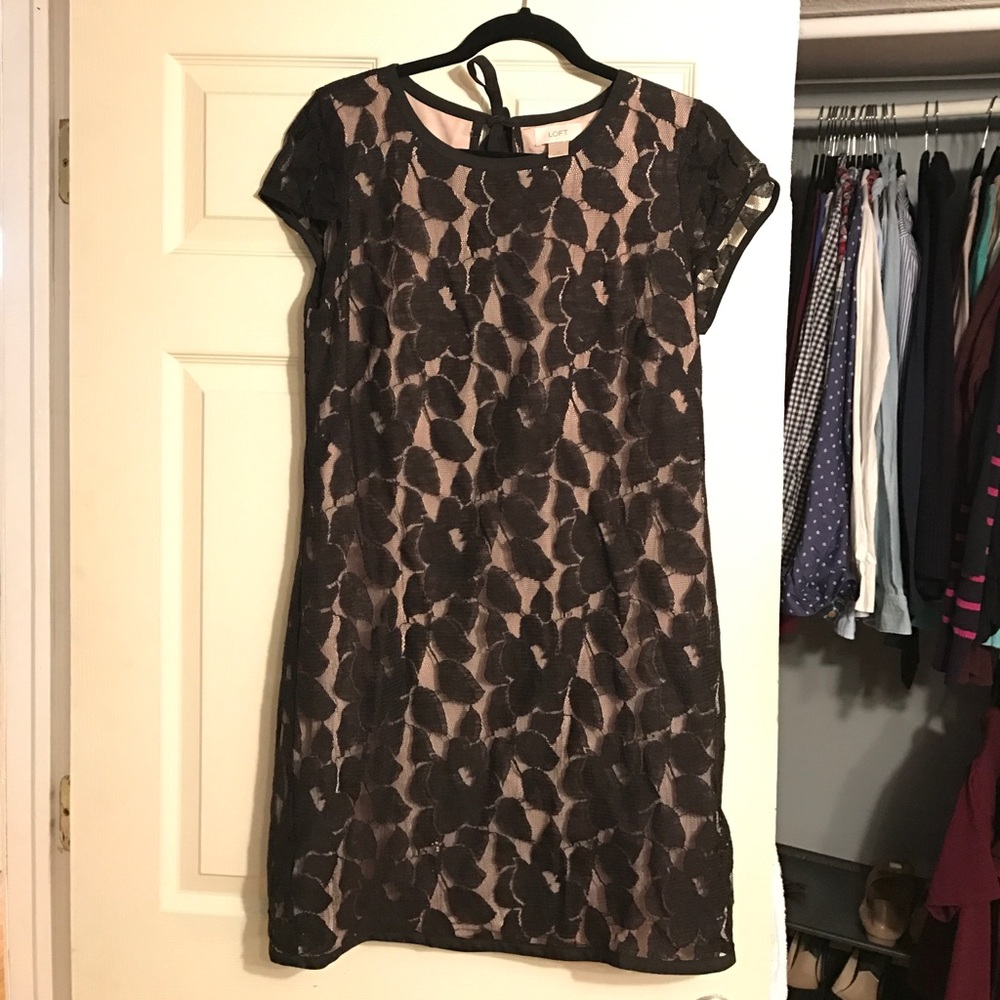 Loft lace dress