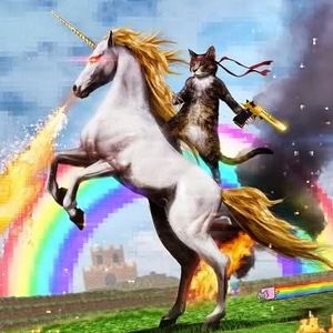 Meet your Posher, Cameron