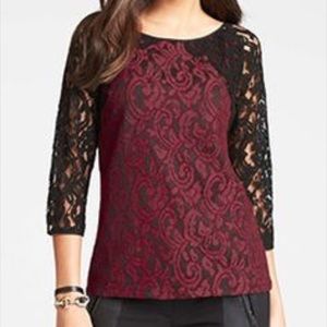 Ann Taylor moonlight lace top