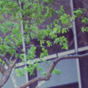 Meet your Posher, Navella