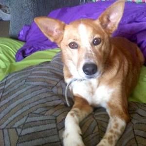 Meet your Posher, Marydith