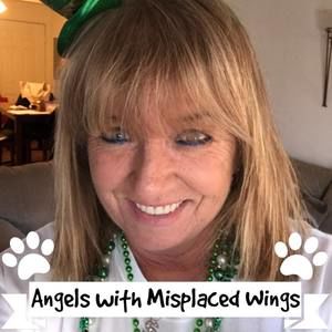 Meet your Posher, Susann