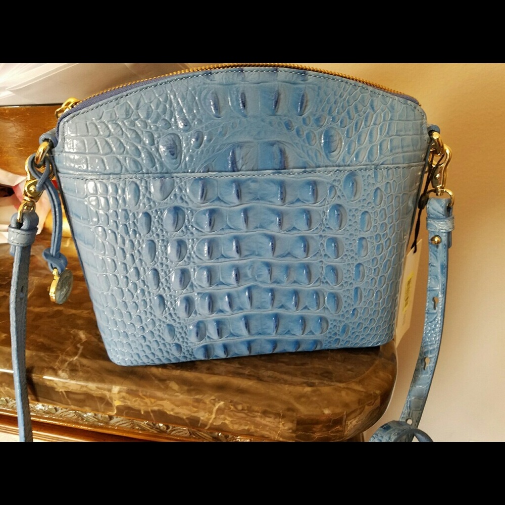 Light blue Brahmin