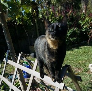 Meet your Posher, Cathy