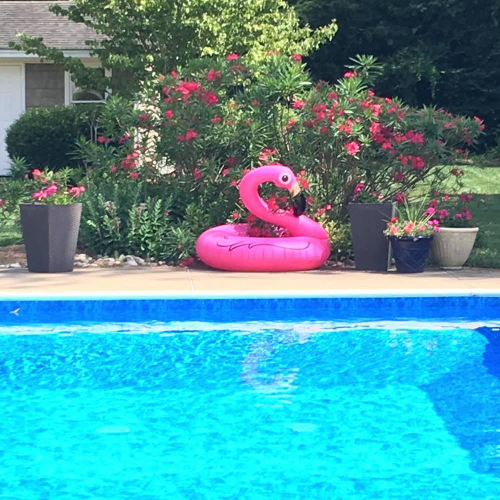 Meet your Posher, Cecilia