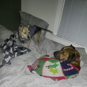 Meet your Posher, Courtney