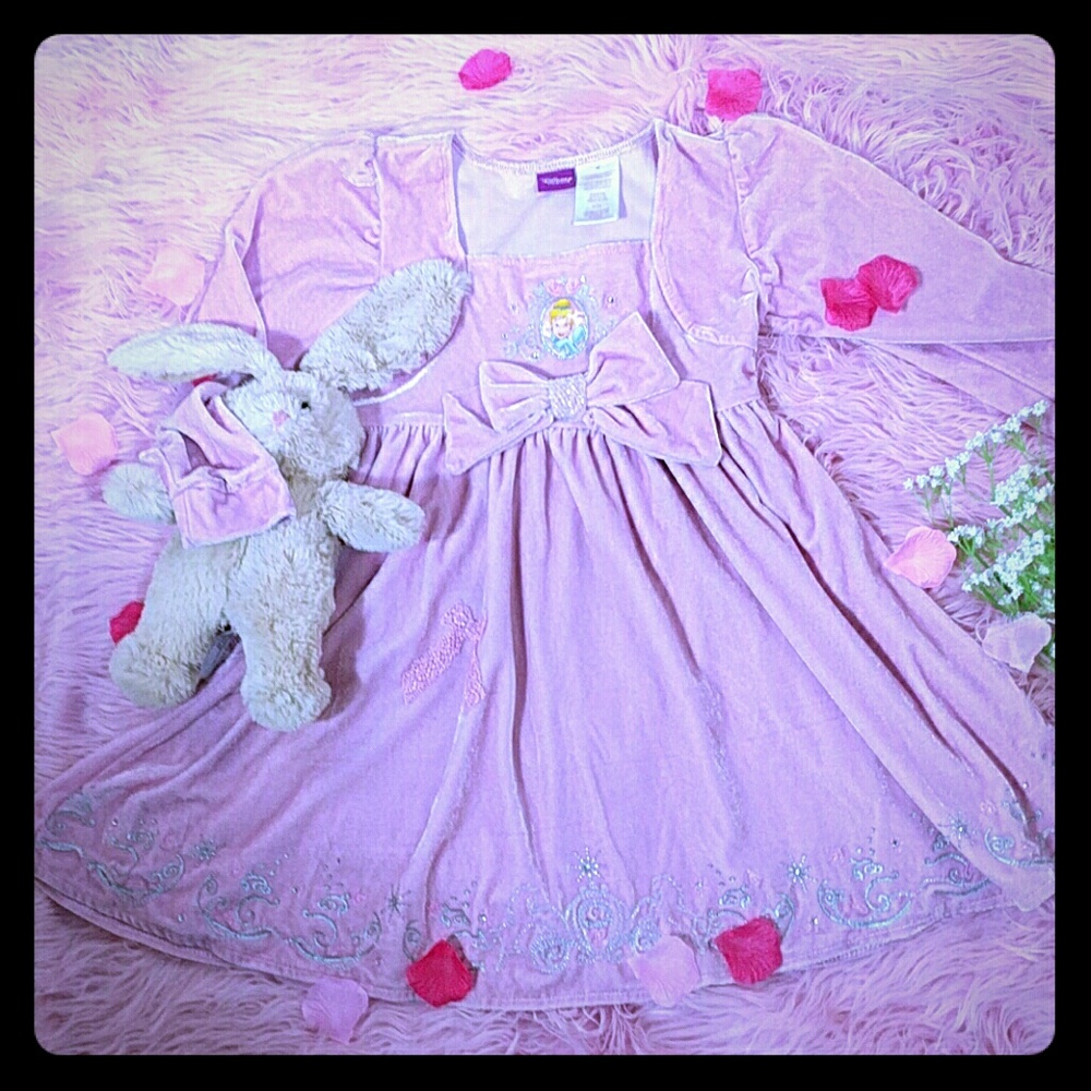 Adorable Pink Velvet Disney Dress