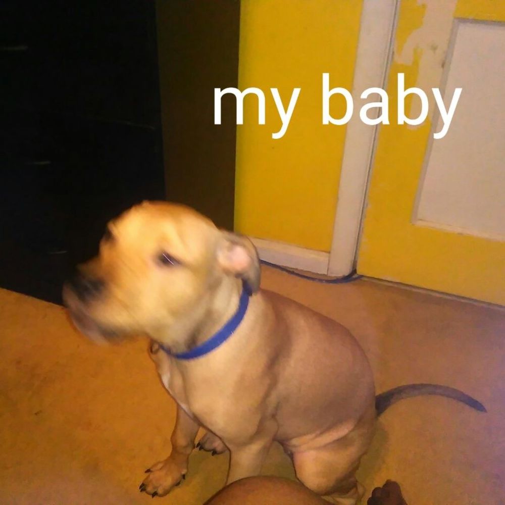 Meet your Posher, Colandra