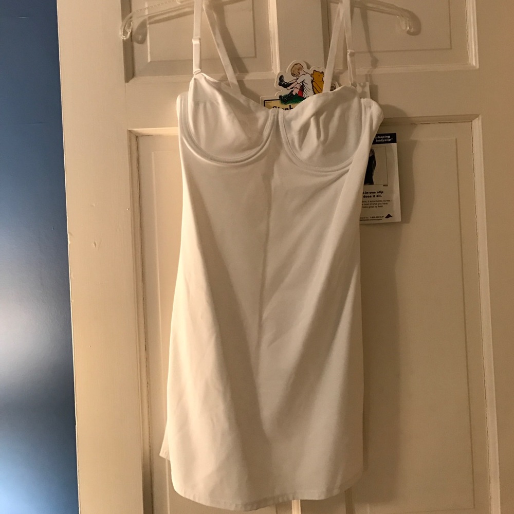 Nancy Ganz Bustshaping Bodyslip 38B