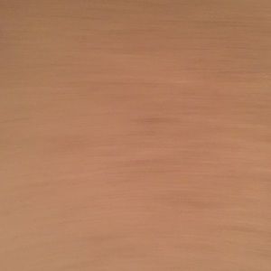 Meet your Posher, Bee