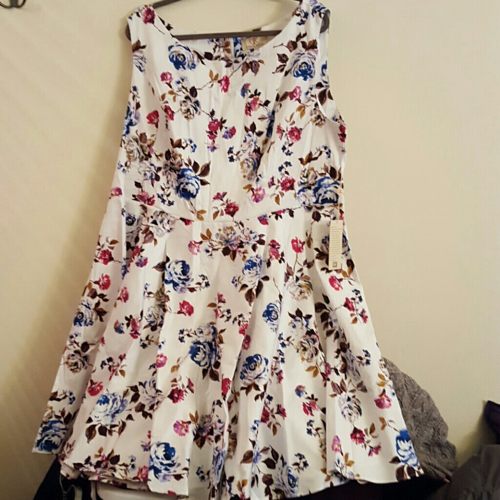 NWT Floral Grace Karin Dress Size 3x