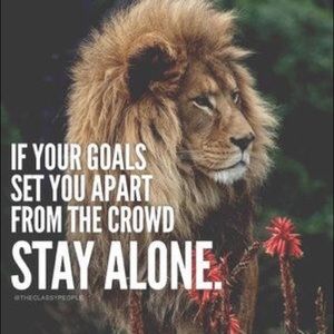 Meet your Posher, Davo