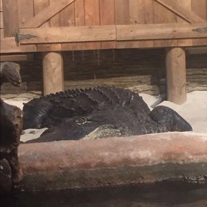 Meet your Posher, Jake