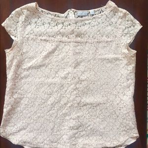 Beautiful New York & Company lace top