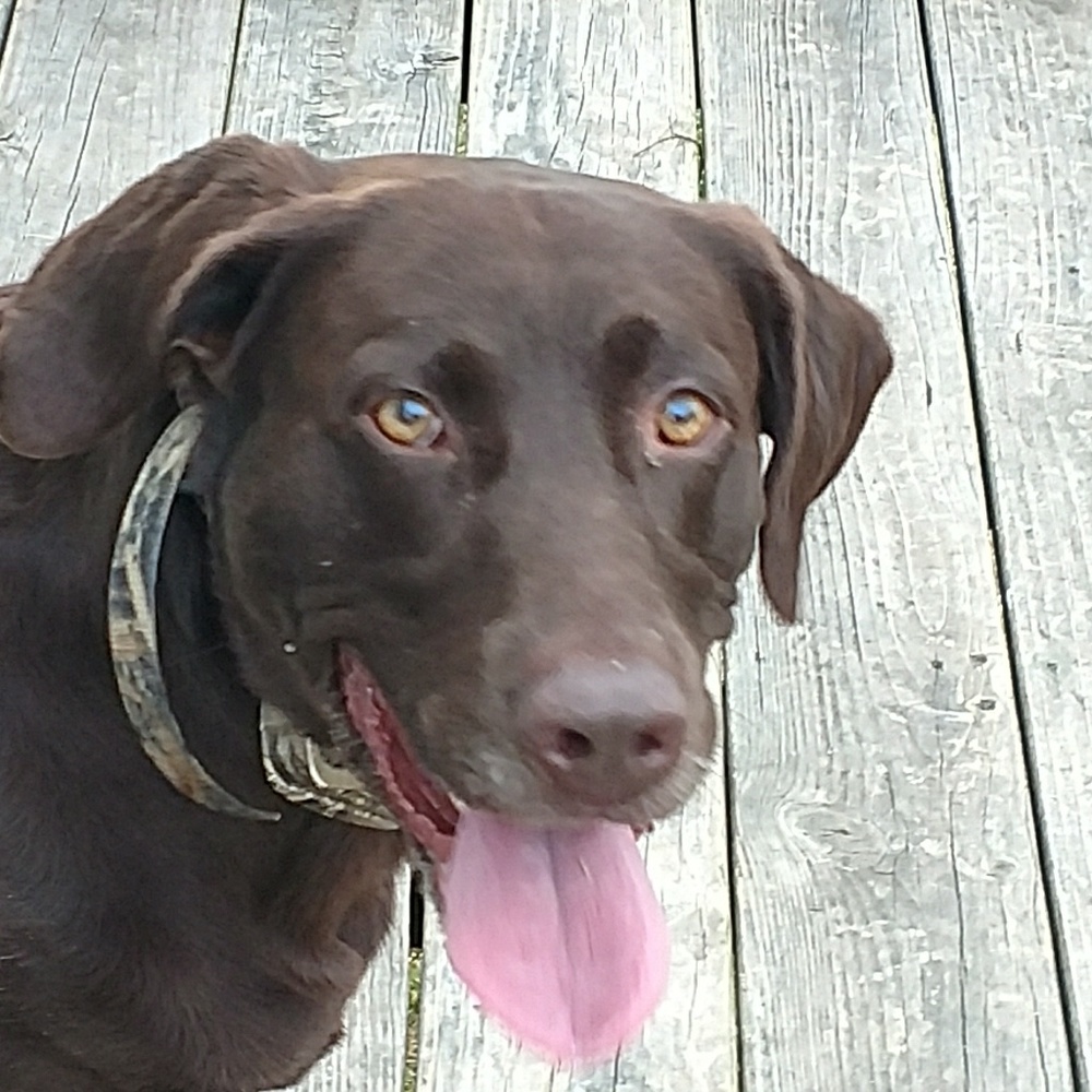 Meet your Posher, Eddie