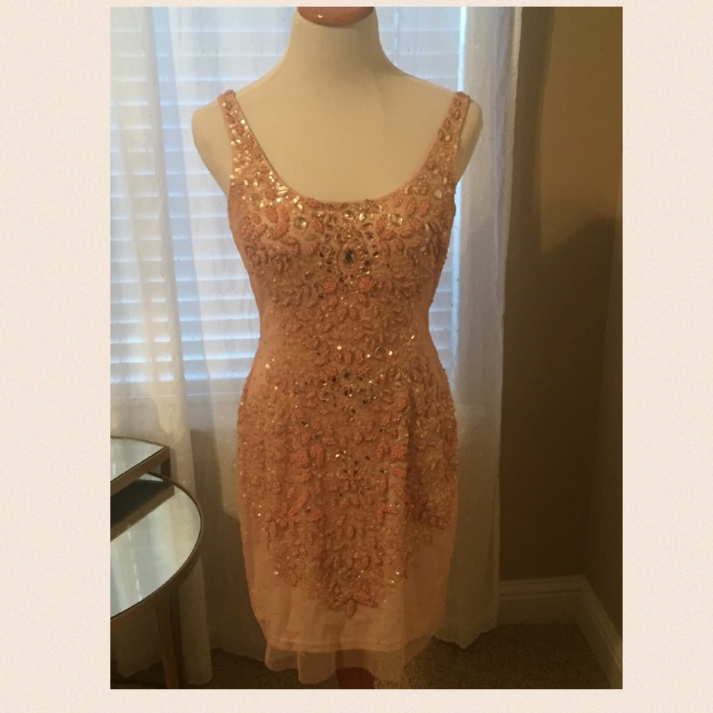 Gorgeous blush beaded dress