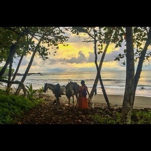 Meet your Posher, Ann marie