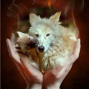 Meet your Posher, Carol