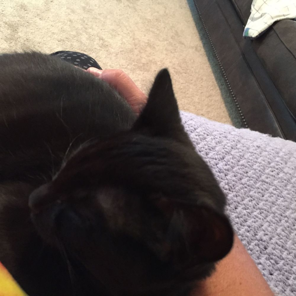 Meet your Posher, Robin