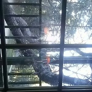 Meet your Posher, Jean