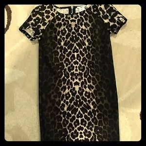 XS NWOT Animal Print Dress