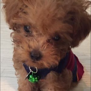 Meet your Posher, Kathleen