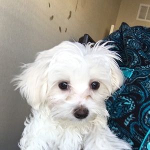 Meet your Posher, Tawanda