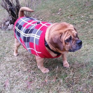 Meet your Posher, Bobbi