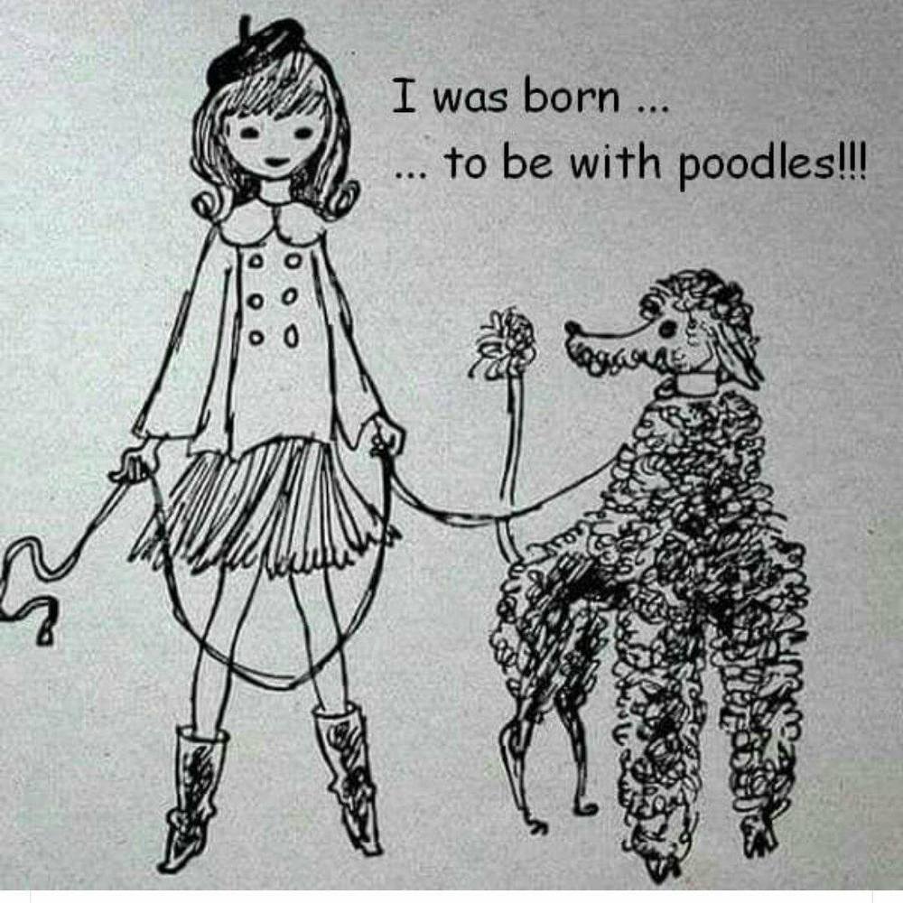 Meet your Posher, Carrie