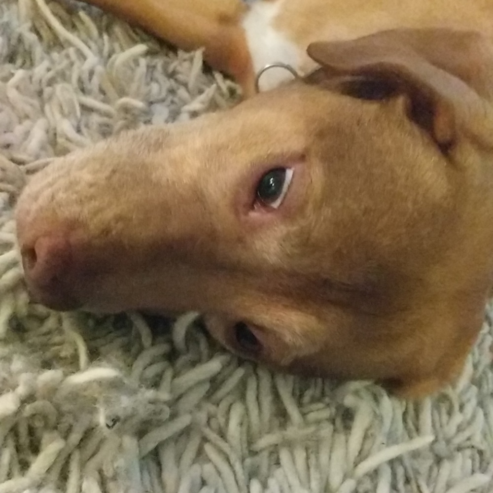 Meet your Posher Katherine