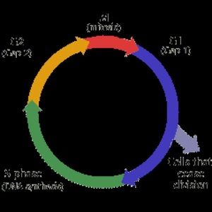 Meet your Posher, Drew