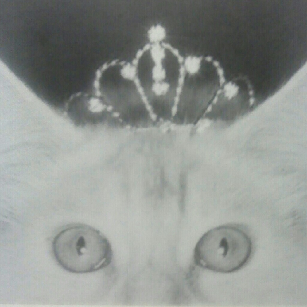 Meet your Posher, ReginaR @pretty.asa.princess