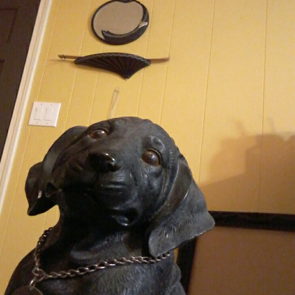 Meet your Posher, Mashownda