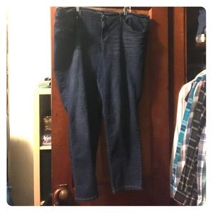 Torrid Short Length Skinny Jeans