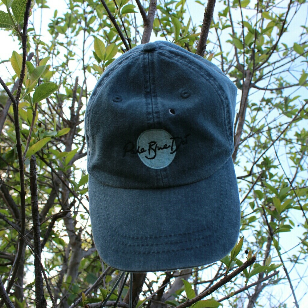 Pale Blue Dot Hat