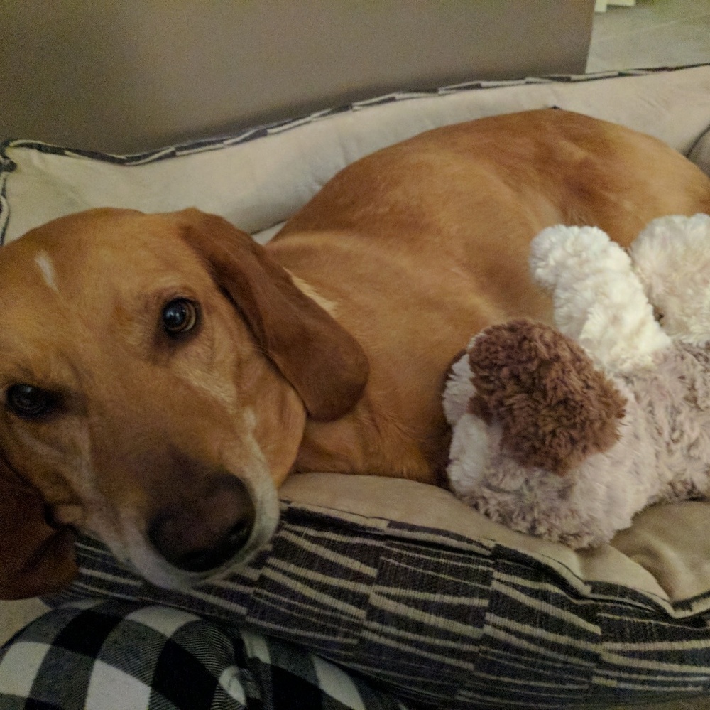 Meet your Posher, Lauren